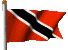 Trini Flag